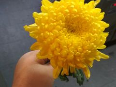 -兰溪小馆(东直门簋街店)