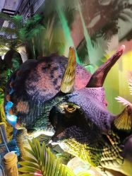 点击看大图 -恐龙探索乐园(磁器口店)