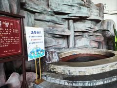 -中家鑫园温泉酒店鑫悦汤泉