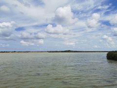 -盐城丹顶鹤湿地生态旅游区