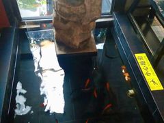 -旅马餐厅(茅家埠店)