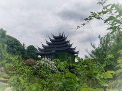 -韩湘水博园