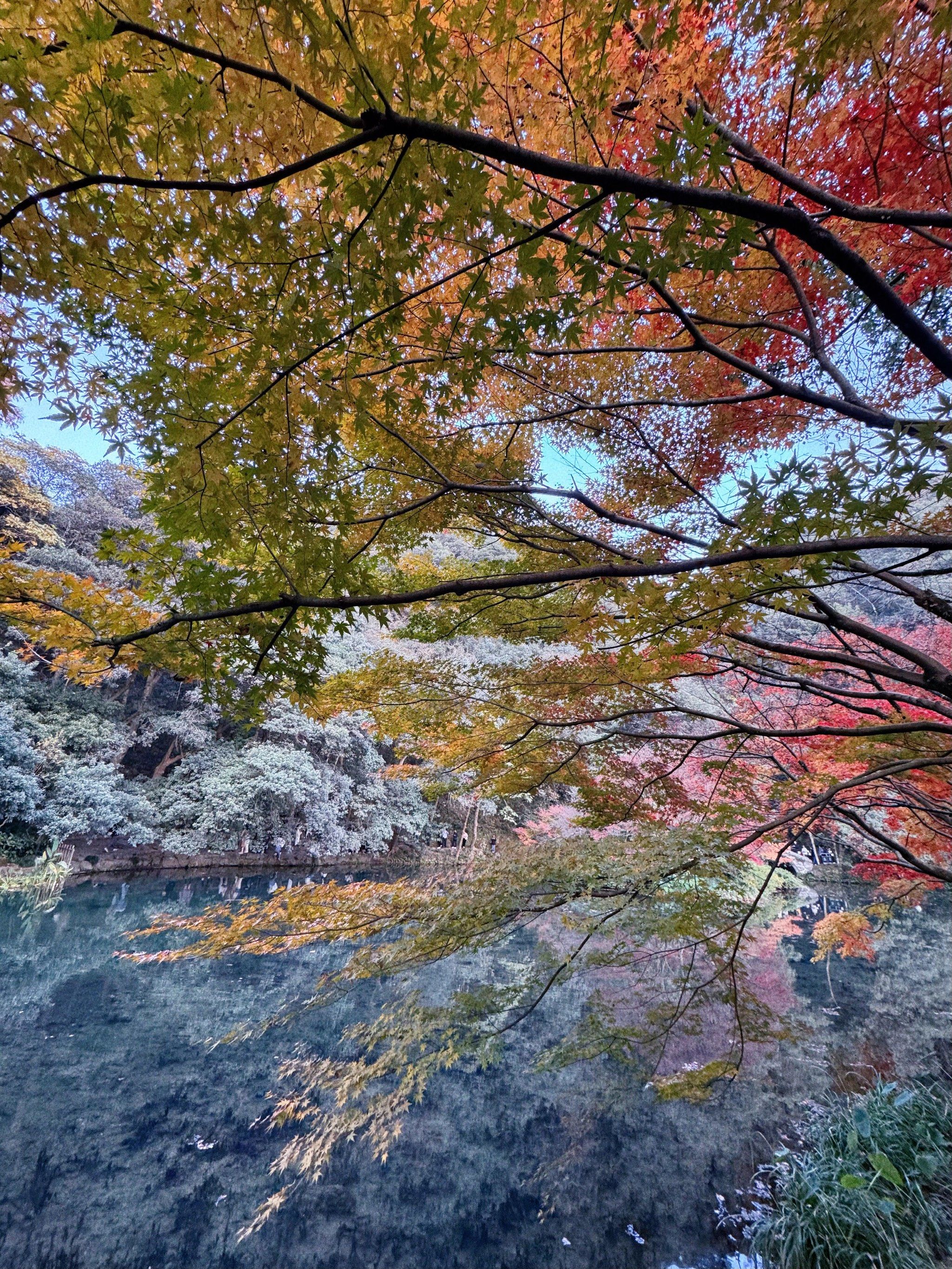 九溪|太棒了👏看到了,人生的秋景
