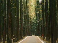 -山王坪喀斯特国家生态公园