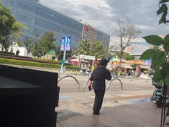 -金塔傣乡·云南德宏民族特色菜·傣味手抓饭(新亚洲店)