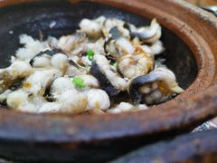 -红星光发煲仔饭(大石街店)