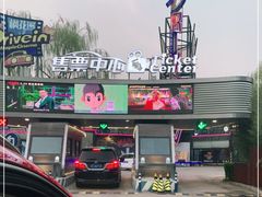 -枫花园汽车电影院(朝阳公园店)