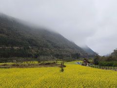 -万峰林风景区