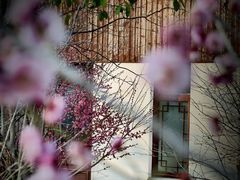 -柳鹭田园区