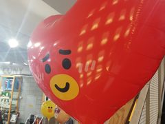 -line friends(明洞旗舰店)