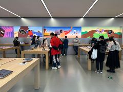 -Apple零售店(中街大悦城店)