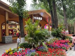 -北京野生动物园