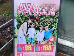 -菊园百果园