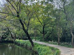 -西溪国家湿地公园