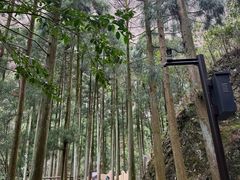 -雁荡山风景名胜区
