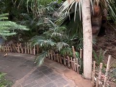 -呀路古热带植物园
