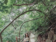-天女山森林公园