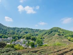 -龙井壹号·茶缘山景宴(龙井村店)