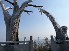-长沙黑麋峰国家森林公园