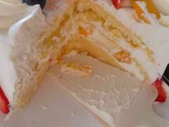 -维尔纳斯·生日蛋糕动物奶油冰淇淋蛋糕(人大店)