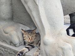 -龙华素斋(龙华路店)