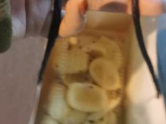 -東更道点心行(文化东路店)