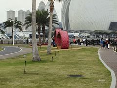 -野狸岛