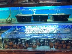 -喜庭海鲜自助(来福士店)