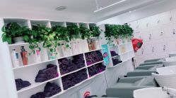 点击看大图 -小齐发型Star~salon