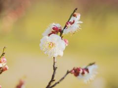 -蜀冈西峰生态公园