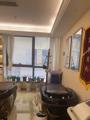 -碧莲盛·不剃发植发