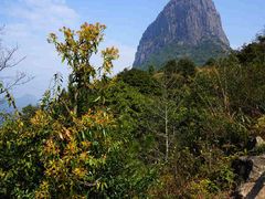 -天龙顶山地公园