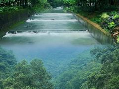 -广州白江湖森林公园