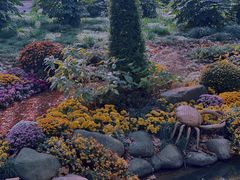 -上海共青森林公园