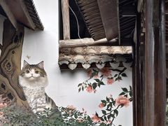 -木子山庄·安徽省老字号·中国炖锅宴
