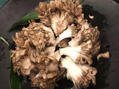 有机舞菇-煲宫猪肚鸡(晶品店)