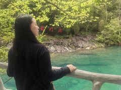 -石台牯牛降景区