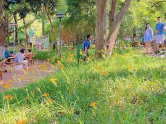 -成都市活水公园