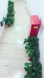 -余祖萍专业经络瘦身