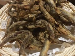 -阳光家常菜游客餐厅(千佛山店)