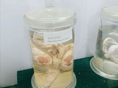 景点-成都大熊猫繁育研究基地
