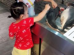 -盐汪子杂鱼馆(大港店)