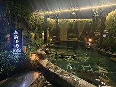 -汇雅温泉