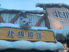 -海合安成都极地海洋公园
