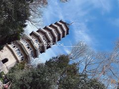 -灵谷景区