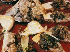 -甄御•海鲜新青岛菜(麦岛店)