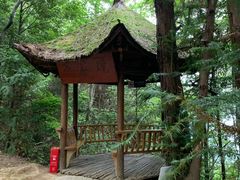 -窦圌山风景区