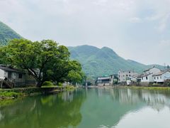 -鹿亭中村