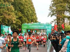 -黄海国家森林公园