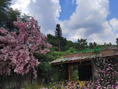 -HERRE·FARM 赫尔露营农场·团建聚会包场